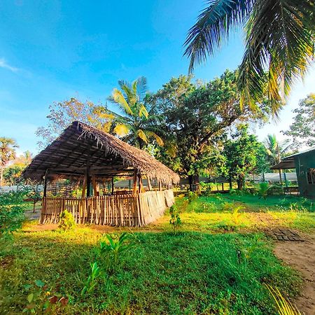Wilpattu Green Cabin Achchamulai 외부 사진