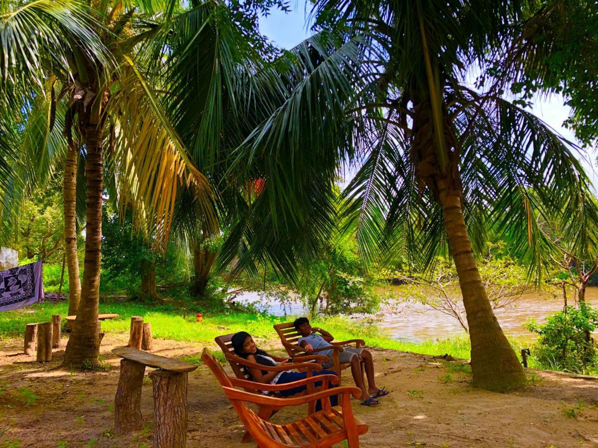 Wilpattu Green Cabin Achchamulai 외부 사진