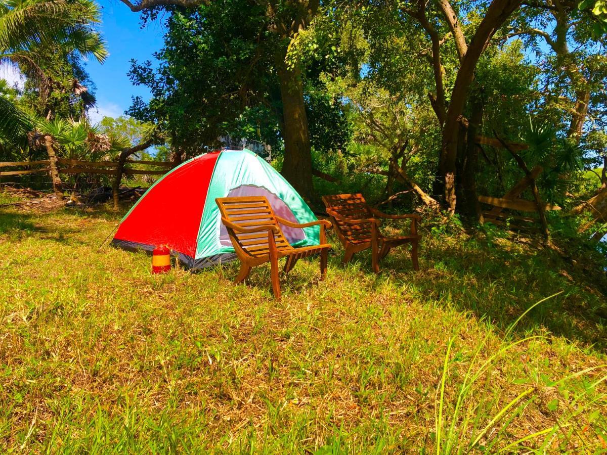 Wilpattu Green Cabin Achchamulai 외부 사진