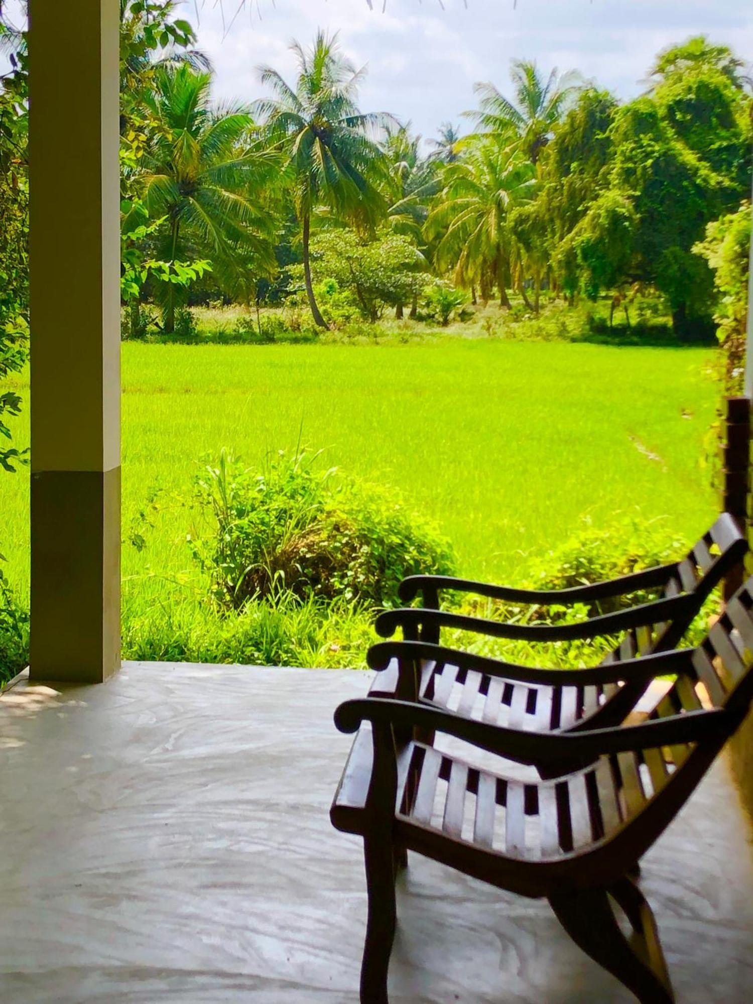 Wilpattu Green Cabin Achchamulai 외부 사진